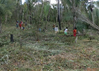 Justiça determina apuração de desmatamento na reserva legal em Cocal de Telha